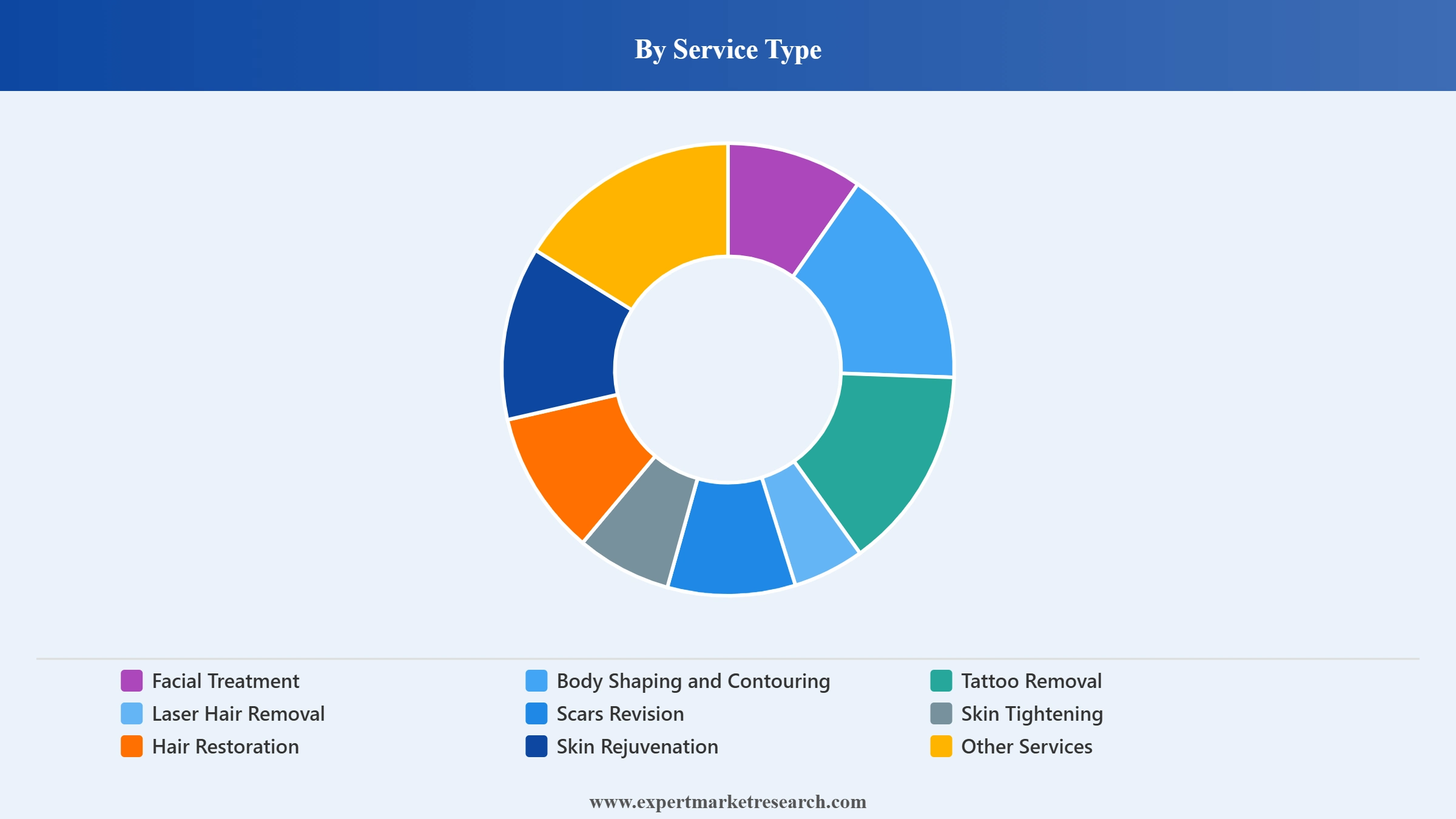 United States Medical Spa Market Segment Service Type