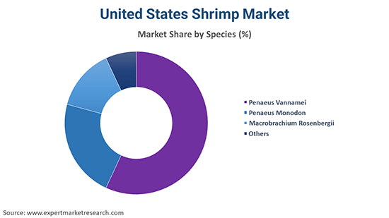 United States Shrimp Market By Species