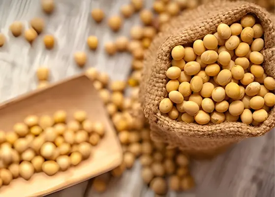 United States Soy Based Foods And Health Trends