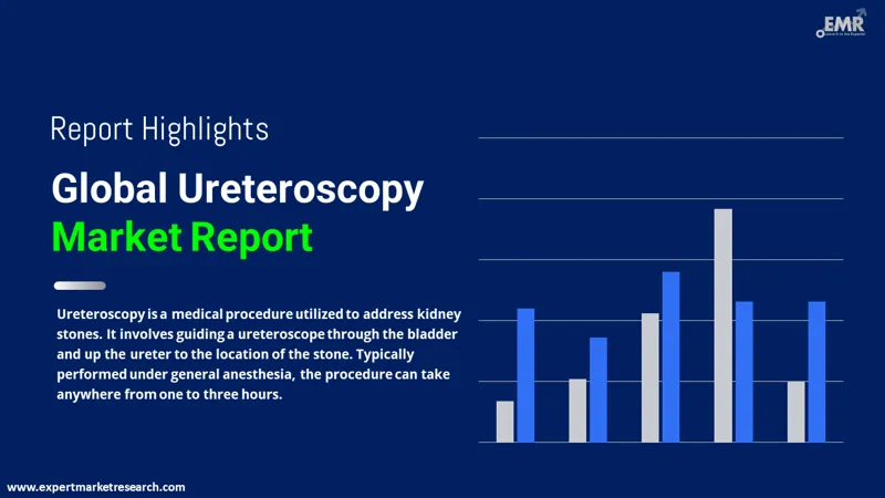 ureteroscopy market