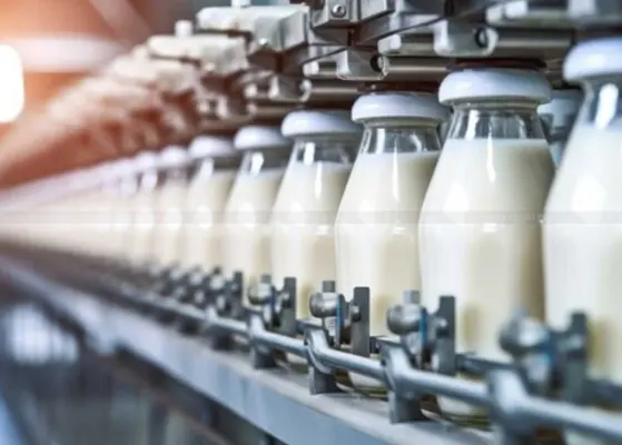 Uttar Pradesh Dairy Cooperatives and Procurement