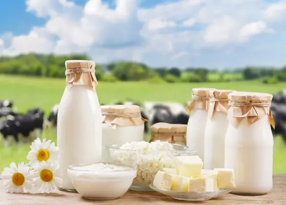 Uttar Pradesh Dairy Market Breed And Genetic Improvement