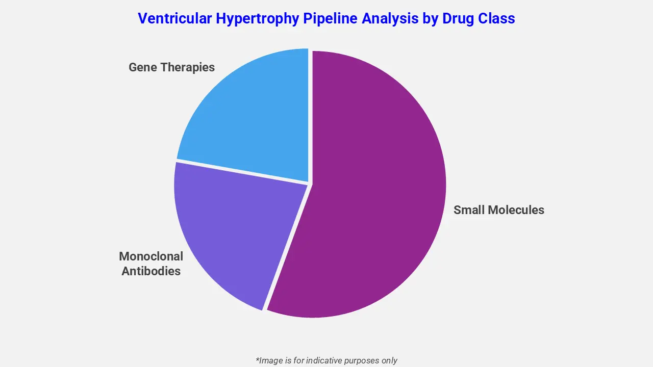 Ventricular Hypertrophy Pipeline Analysis by Drug Class