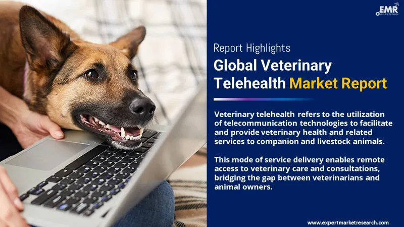 Veterinary Telehealth Market Size, Share, Growth 2024-2032