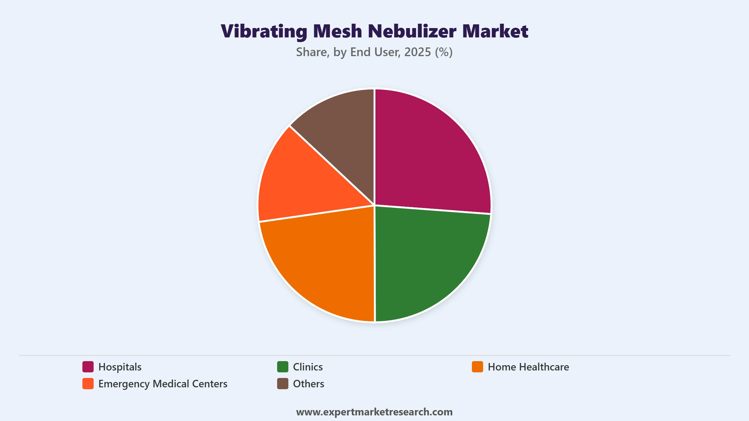 Vibrating Mesh Nebulizer Market Segment End User