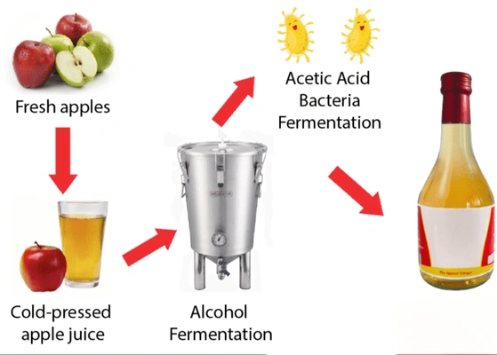 Vinegar Fermentation Methods USA
