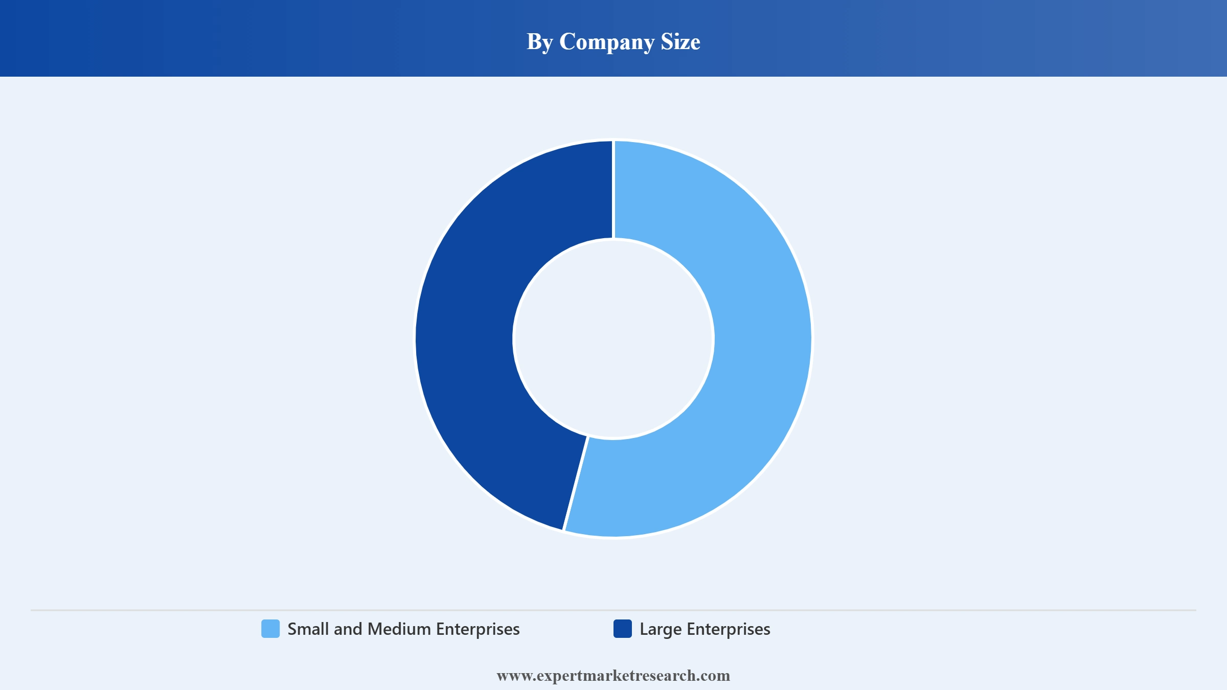 Voice Assistant Application Market Segment Company Size