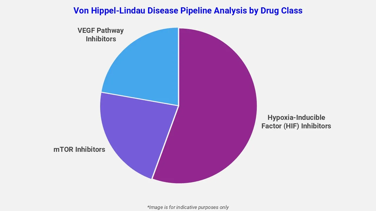 Von Hippel Lindau Disease Pipeline Analysis By Drug Class