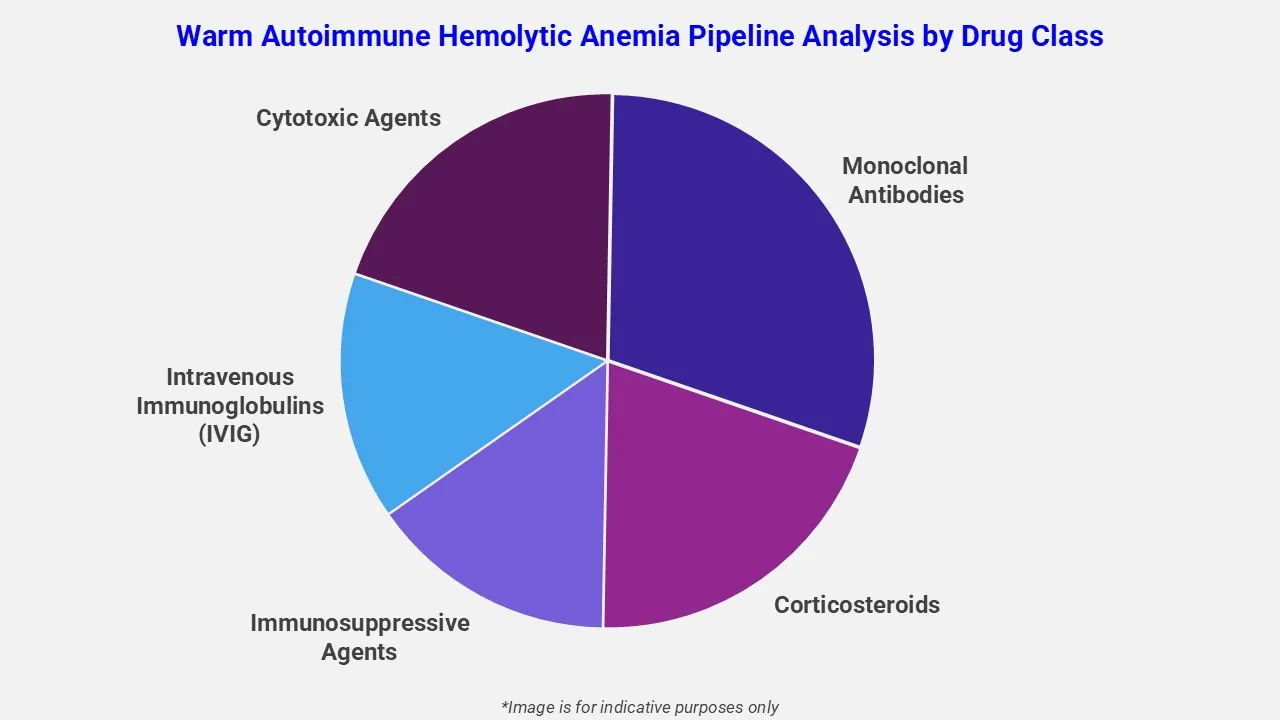 Warm Autoimmune Hemolytic Anemia Pipeline Analysis By Drug Class